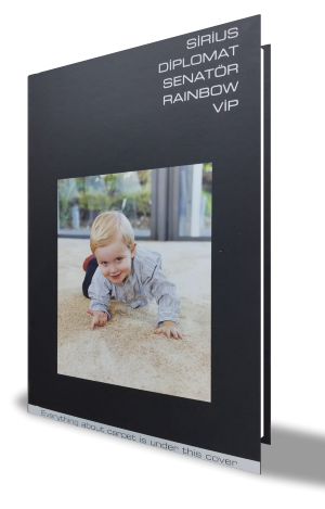 Excıusive series Tafting Halı