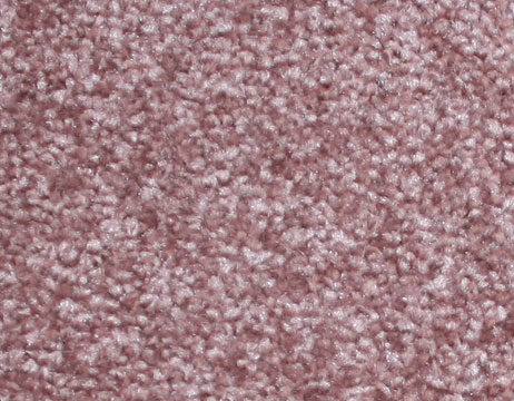 Samur Excelsion Lila