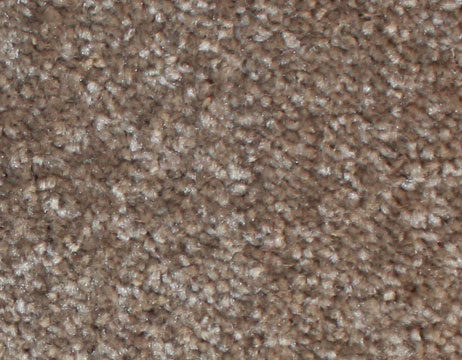 Samur Excelsion Vizyon