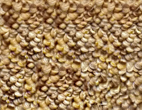 bukle 0010s 0005 ilgaz