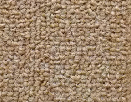 bukle 0008s 0005 nohut