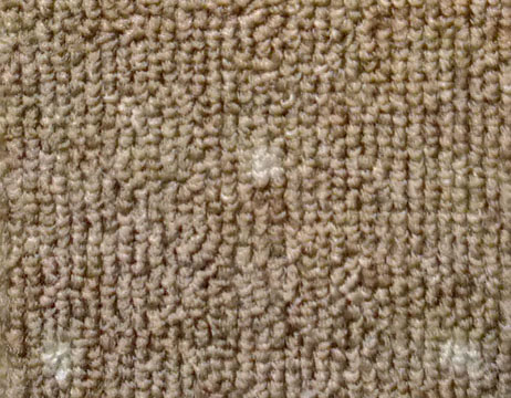 bukle 0003s 0005 507