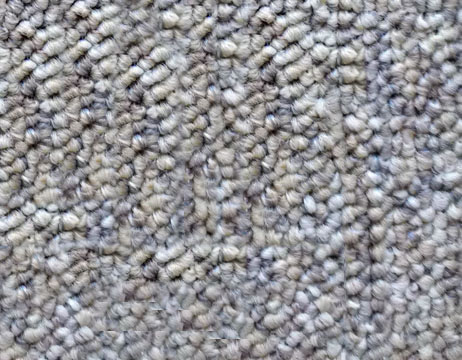 bukle 0009s 0000 009