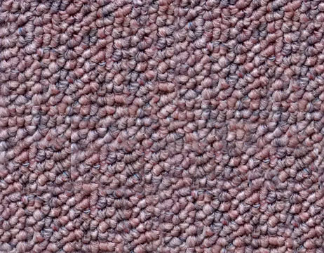 bukle 0009s 0001 007