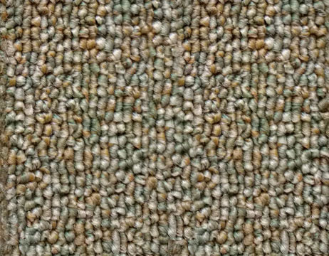 bukle 0009s 0002 006