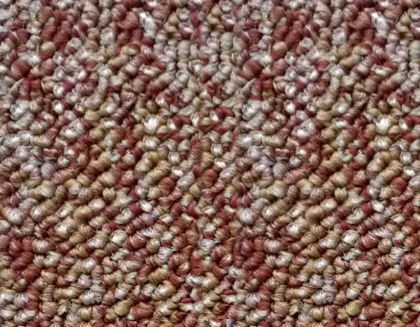 bukle 0009s 0005 003